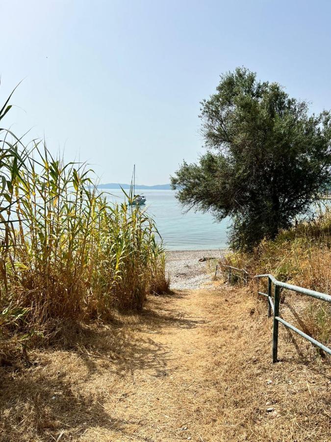 Lithino Apartments - 5Min From The Beach Agios Ioannis Peristerion Extérieur photo