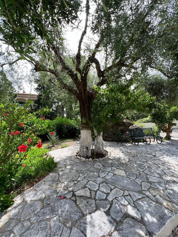 Lithino Apartments - 5Min From The Beach Agios Ioannis Peristerion Extérieur photo